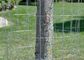 Trwałe 30 m walcowane drut ogrodzeniowy wsparcie rolne dla roślin
