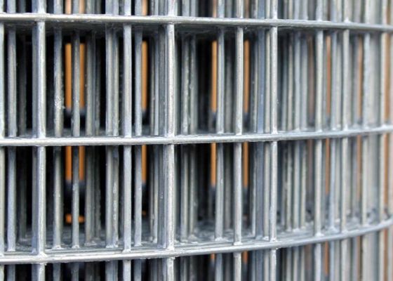 50X50 ocynkowana spawana siatka druciana w rolkach 6 stóp drutu ogrodzeniowego rolka odporna na ścieranie