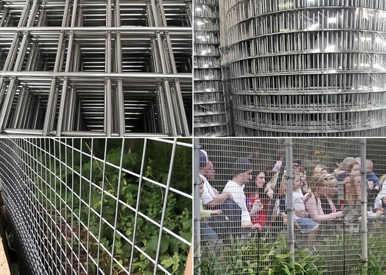 Wysoko odporne na korozję rolki z spawanymi siatkami trwałe Różne kolory