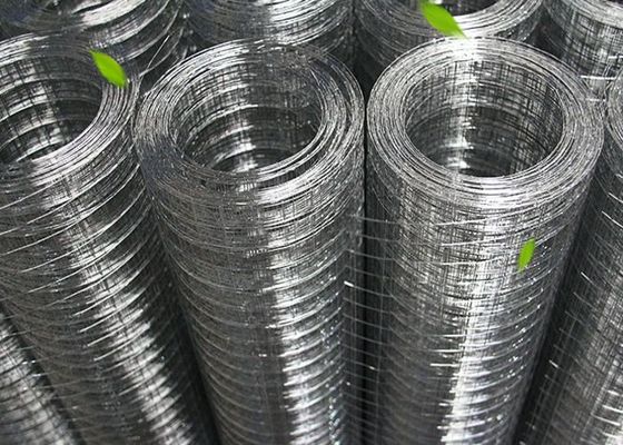 Ptaków 30M Długość Walcowane Wire Mesh Rolls Z Gorąco Dip Galwanizowane Powierzchnia Finish Treatment