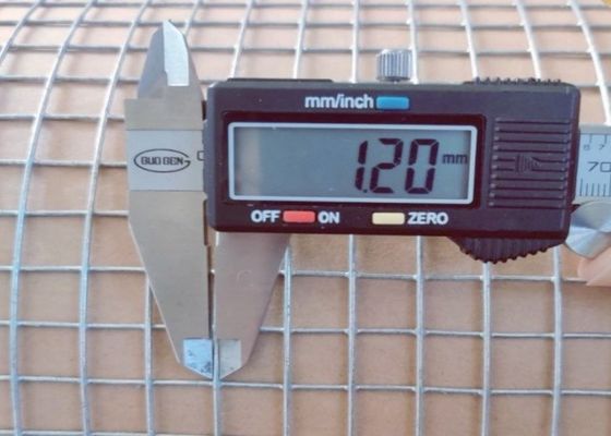 Elektrogalwanizowana siatka z spawaną drutą o długości 50 m i szerokości 0,5 m dla ośrodków dla zwierząt