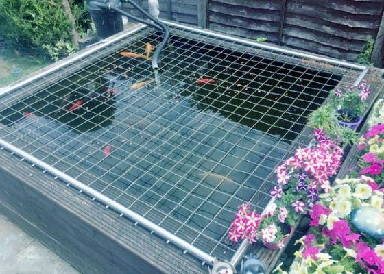 Technika spawania punktualnego Wskaźnik spawania sieci zestawu z dopasowaną szerokością i elektrogalwanizowaną powierzchnią dla trwałej ochrony