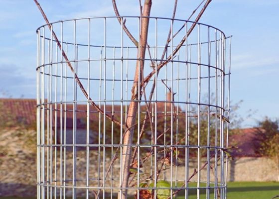 Technika spawania punktualnego Wskaźnik spawania sieci zestawu z dopasowaną szerokością i elektrogalwanizowaną powierzchnią dla trwałej ochrony